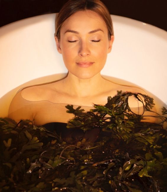 SEA KELP BATH SOAK Midnight Oil Soap Company