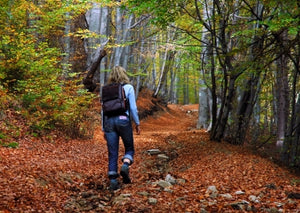 FOREST BATHING