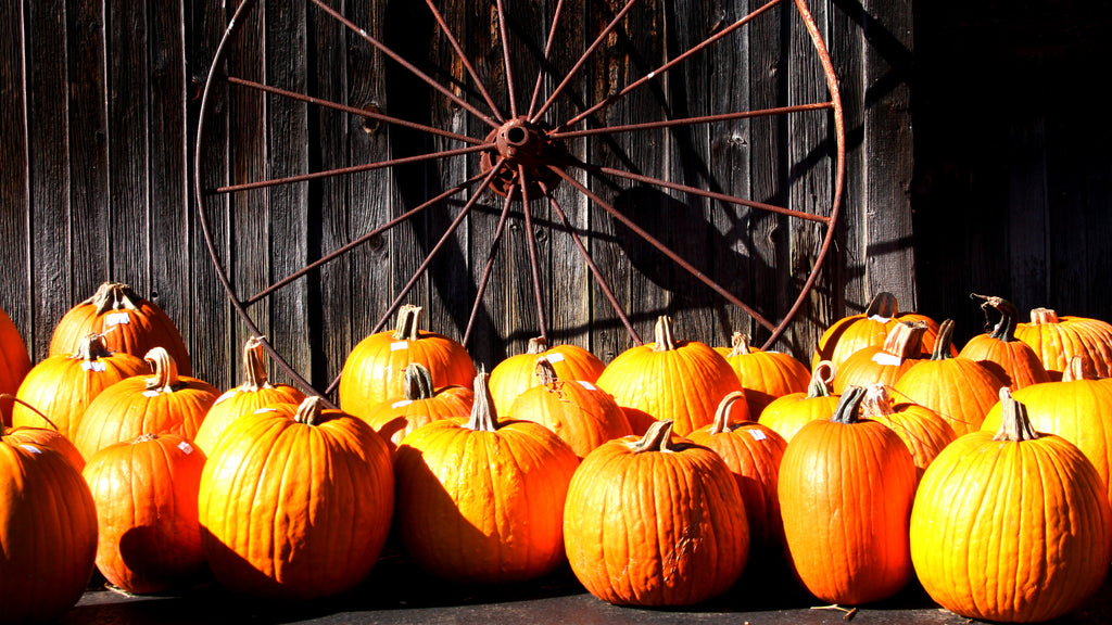 HEALTHY, GLOWING SKIN with PUMPKINS